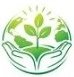 Energy Flow